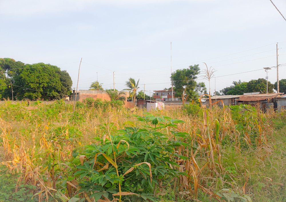 PARCELLE À VENDRE À TOGBIN – ZONE 3