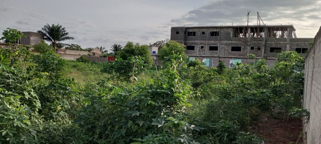 PARCELLE À VENDRE – TOGBIN ZONE 2