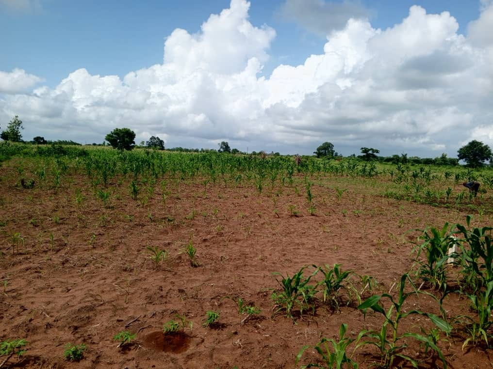 Domaine de 4000 m² à Vendre à Calavi – En Bordure du Goudron RNIE