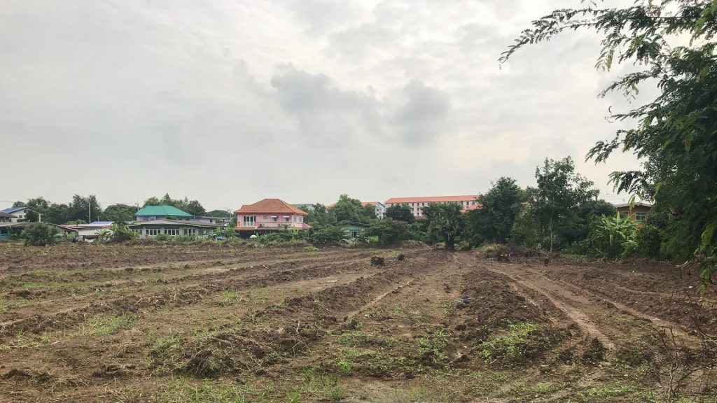 Domaines morcelés sur des parcelles de 350 m² avec Titre Foncier à Vendre – Calavi Agassa-Godomey