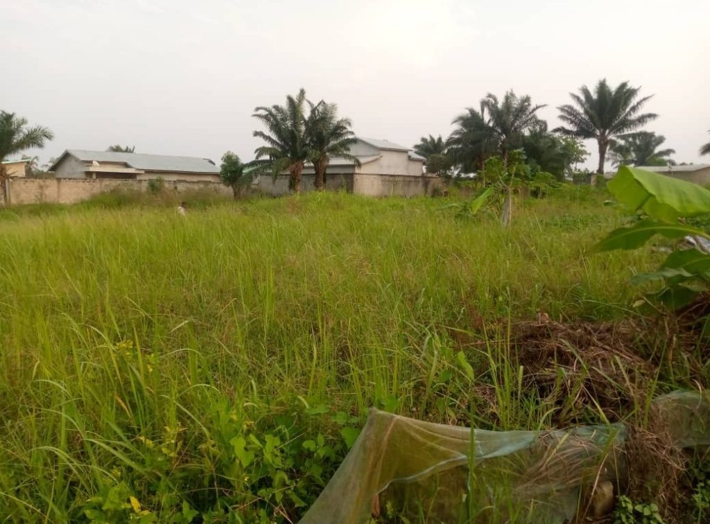 Domaine de 10 ha à vendre à Savi – TF en cours