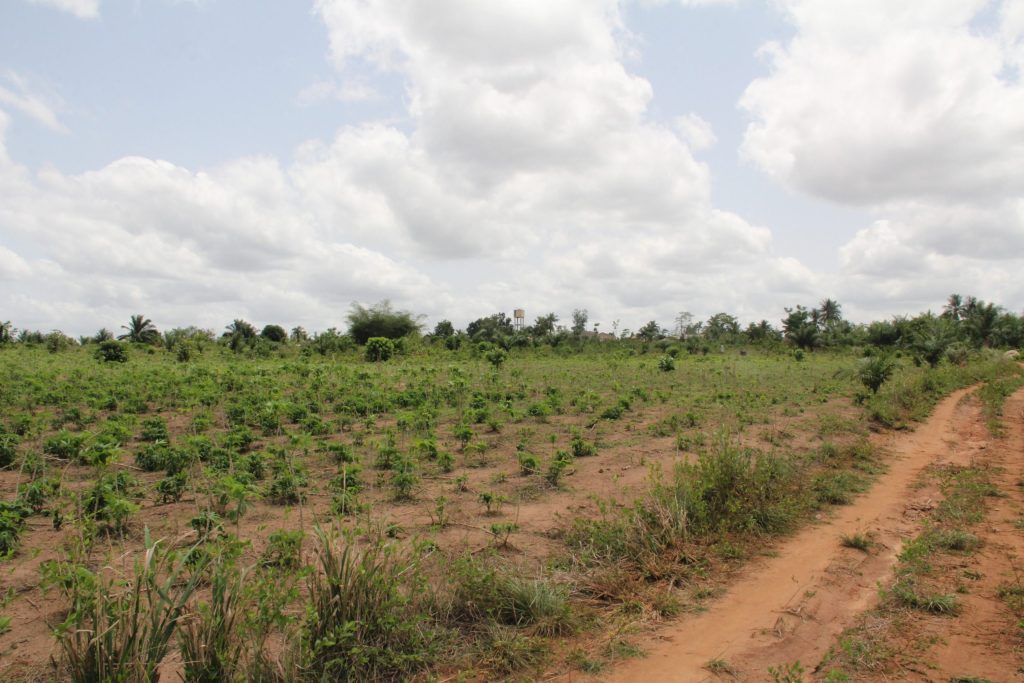 25 hectares à vendre à Sékou