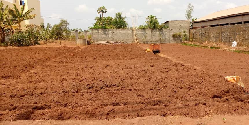 Parcelle à Vendre à Zopah – Abomey-Calavi