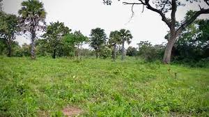 terrain vide au Bénin